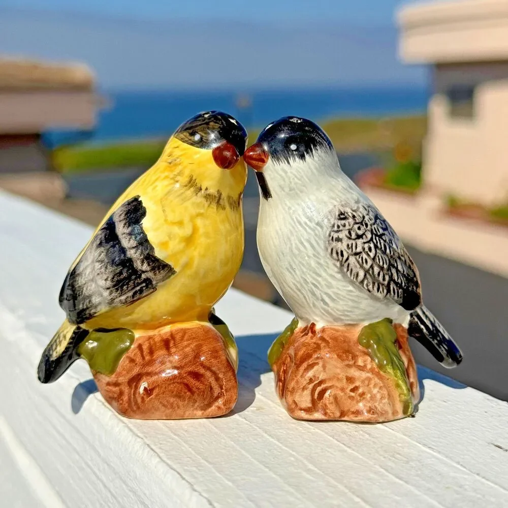 Italian Ceramic Olive Oil Bottle Set‎ Bird Figurines Kitchen Decor Hand Painted